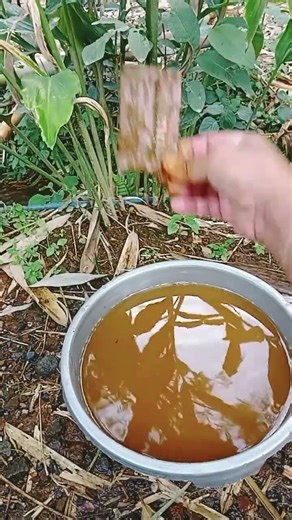 Aram Sam Sam Chiki tonz #funny #youtubeshorts #cutebabyfunn #fypシ