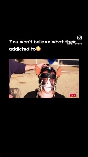 #horseplay #wth #lol #funny | Horses Playing