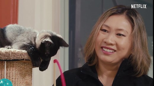 Inside the Mind of a Cat (2022)