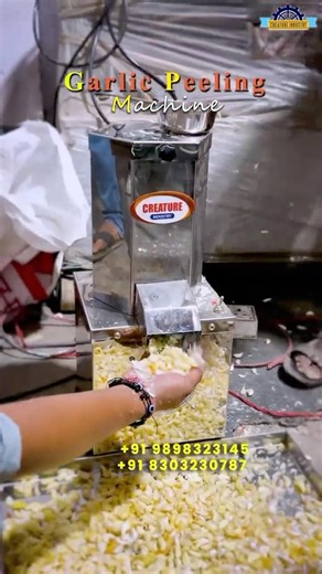 Garlic Peeler Machine | Garlic Peeling Machine For Garlic Powder Business