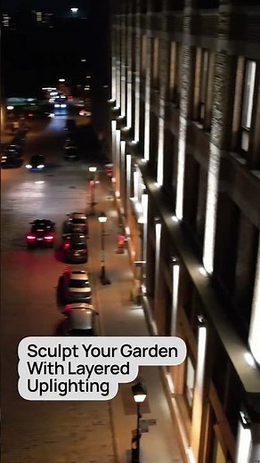 Creative Uplighting Ideas for Outdoor Spaces