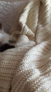 Blanket Knitting Pattern for Many Sizes . Easy Throw Blanket Pattern for Beginner . Cozy Blanket Knit Pattern - Etsy