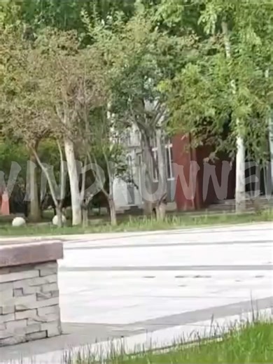 Capture net launcher, easy to install, capable of single-shot or continuous fire.#fpv #uav #launcher #InnovationTech