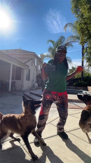 #malrines #usmc #goodvibrations #furbabies