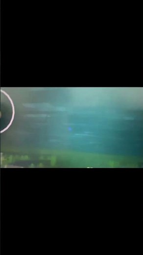 Minecraft fish spin with funky town