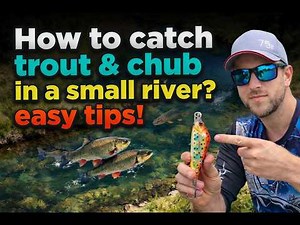 How to Catch Trout & Chub in a Small River Easy Tips
