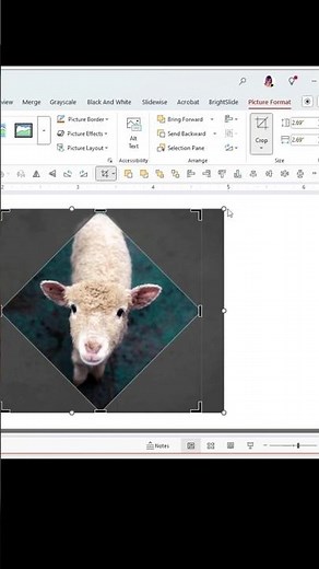 Fitting Images to Shapes in PowerPoint