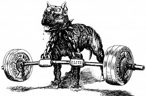 The Conjugate Method for Powerlifting: A User's Guide