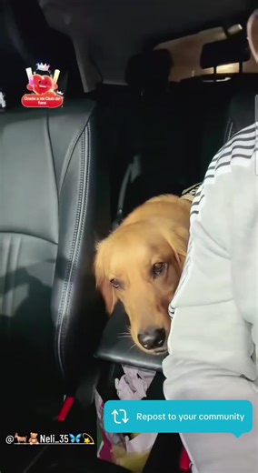 El Maxito y Melissa Navarro: Risas y Diversión