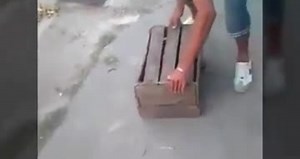 #AnimalCruelty: Men burn dog to death in Cuba