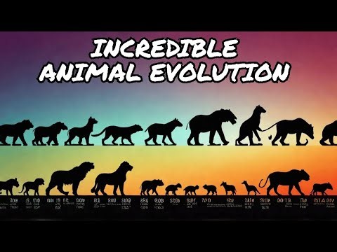 Animal Evolution 🦖 The INCREDIBLE 600 Million-Year Story Explained! #animalevolution #AnimalFacts