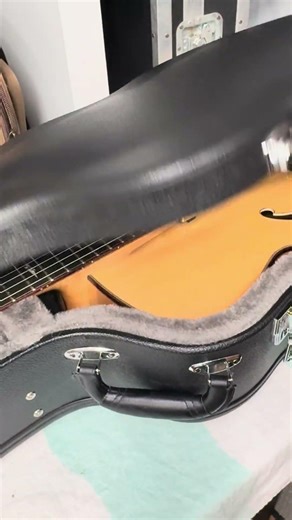 Eastman hard shell guitar case variants