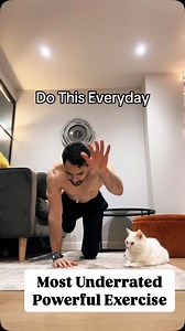 The bird dog exercise improves core stability, balance and coordination while strengthening the lower back, glutes, and shoulders. It’s great for posture and injury prevention. #homeworkout #fitnessmotivation #beginnerworkout | Thefitchampion