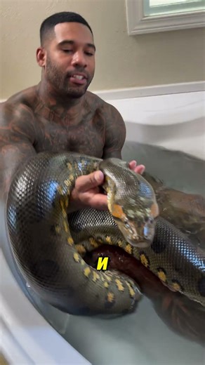 Этот парень спит с питоном 😳🐍