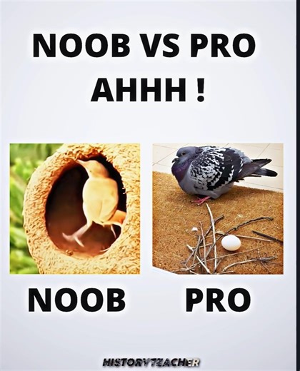 noob vs pro 🥀