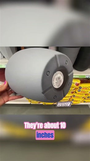 Dollar Tree NEW Items: HUGE Containers You NEED! #shorts