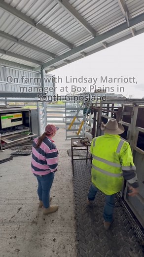 "When auditers realise that you've got control of your data, they realise you know what's happening, what product is being used in different animals, and when" Mikala McClean from the Sapien Client Success Team, recently caught up with Lindsay Marriott, Manager at Box Plains in South Gippsland, to chat about how the Sapien program has helped their operations. | Sapien Technology Pty Ltd