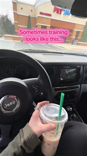 If you are not calm, cool and collective… we are NOT getting out of the car! #dogtrainingadvice #dogs #dogtrainerlife #obediencetraining