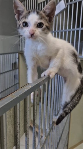 15 reactions | Introducing Davey Jr. — the girl with the boy name,...