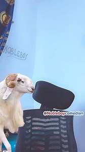 Hello baba fatai. I need a Ram | Nobleboy comedian