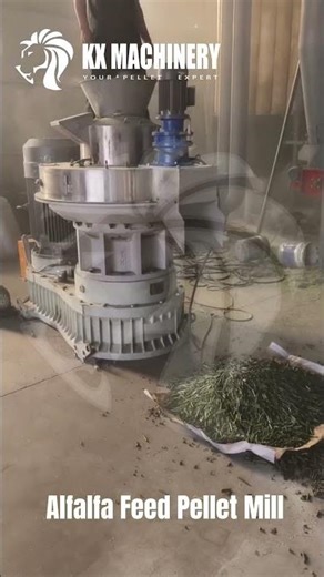 Heavy Duty Pellet Machine for Alfalfa Dry Grass Pellet Machine #pelletmachine #pelletmill