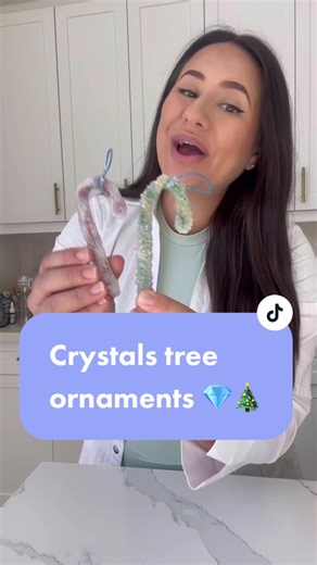 Crystal Growing Science Experiment for Christmas DIY
