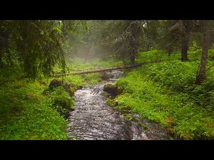 Sibelius: Karelia suite - Alla marcia.
