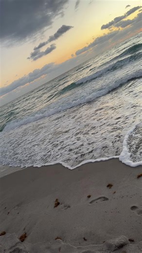 GHOST (@lja7ghost)’s videos with original sound - 50 SHADES OF GRAY WOLF