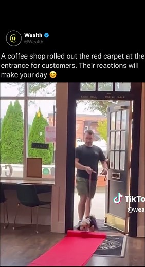 The Funniest Coffee Shop Moments with a Sprinkle of Positivity