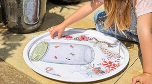 Insect Themed Numeracy Activity