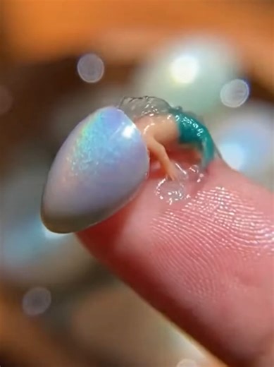 #mermaid baby mermaid is born | mermaid