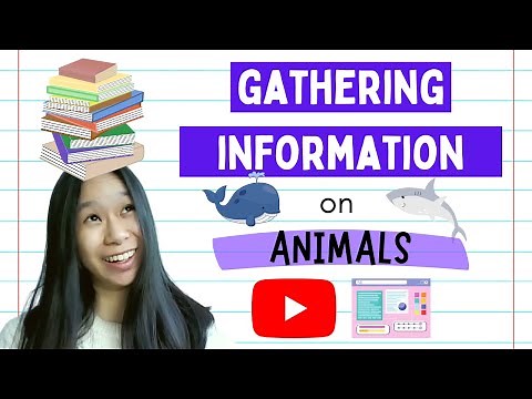 Informative Writing for Kids | 1. Gathering Information for Animal Reports