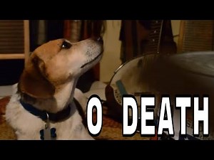 O Death - Spoon Lady & the Tater Boys