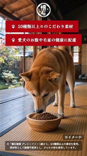 My easygoing dog having a kaiseki meal