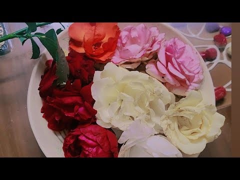 How to monotize your channel fastly💯👍