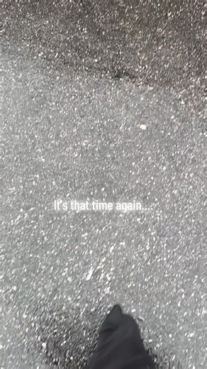 New Books to Discover on BookTok