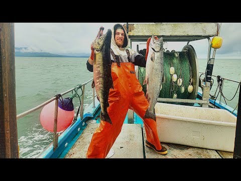 Epic Fishing in Alaska! Salmon Gillnetting with Chris on F/V Nancy!