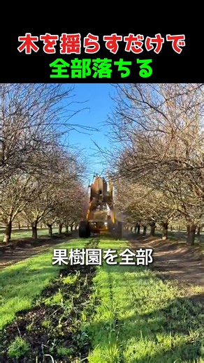 果樹園の収穫機械で効率的に果物を収穫する方法