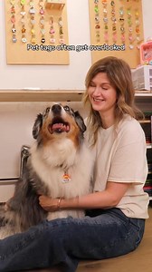 Laurel didn’t just fix her dog’s badge—she reimagined what pet tags could be. See how far a simple idea can go. | Wix