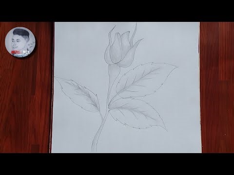 How to Draw a Realistic Rose Bud – Easy Step-by-Step Tutorial