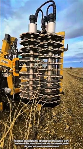 Best Innovation Vineyard Pre-Pruning Machine: How to Trim Vines Efficiently