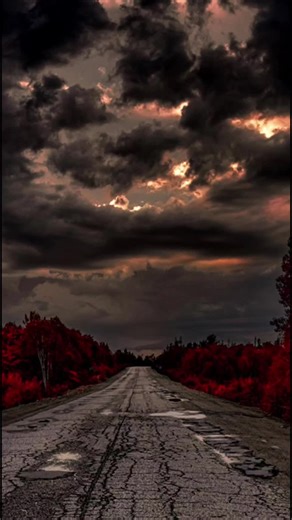 Big Stamp (@bigstamp)’s videos with original sound - lizzy winter