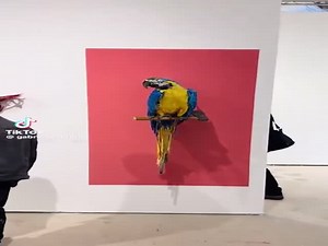 These Are The Most Insane Sculptures I've Ever Seen  (VIDEO)