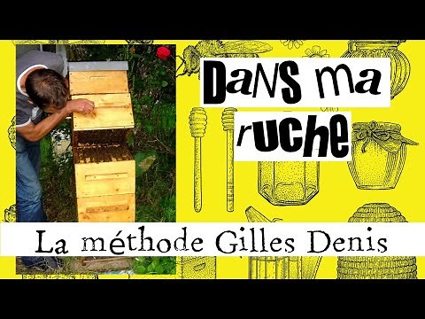 La méthode Gilles Denis, passer à la Warré facilement