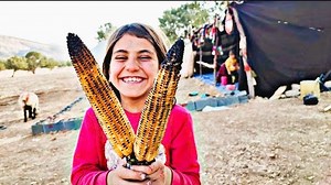 1.5K views · 64 reactions | Nomadic life feeding the sheep and roasting corn in the traditional way | Food Family | Facebook