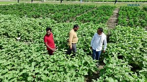 26 reactions | The farmers among us confront many unique challenges...