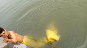 Forget 'The Little Mermaid' here is a real life Merman