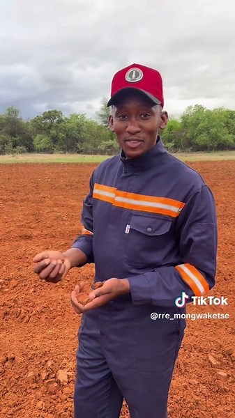 Ploughing season is upon us 🙏🏾 #SAMA28 #cutlineboyz #CapCut #foryoupage #farming #agriculture #farmlife #farmer #ploughing