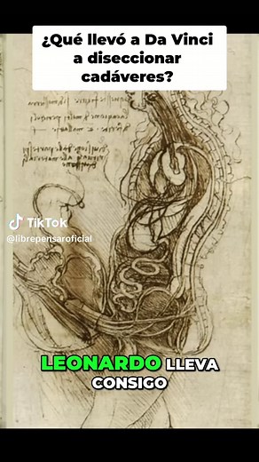 Leonardo Da Vinci: Anatomía y Misterios de la Vida