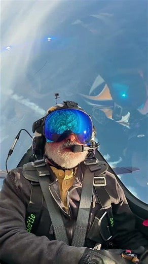 Gamebird | Wedge -- Cockpit View